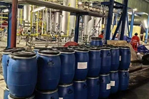 Care sunt factorii determinanți ai efectului de producție de azot al sitelor ...